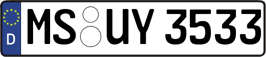 MS-UY3533