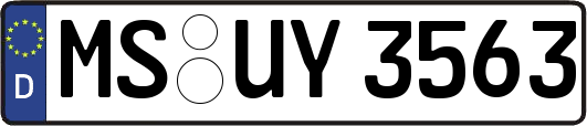 MS-UY3563