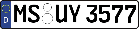 MS-UY3577