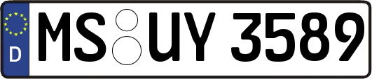 MS-UY3589