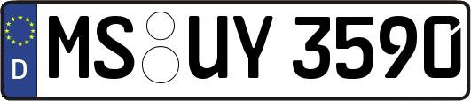 MS-UY3590