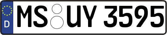 MS-UY3595