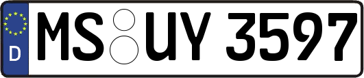 MS-UY3597