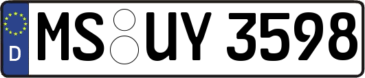 MS-UY3598