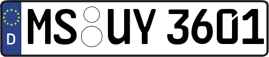 MS-UY3601