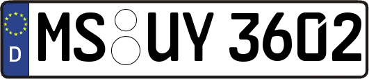 MS-UY3602