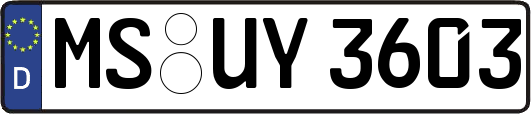 MS-UY3603