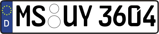 MS-UY3604