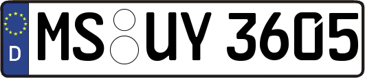 MS-UY3605