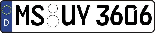 MS-UY3606