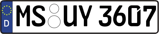 MS-UY3607