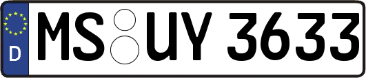 MS-UY3633