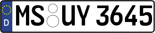 MS-UY3645