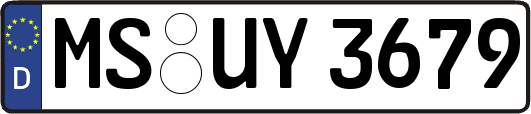 MS-UY3679