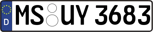 MS-UY3683