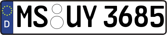 MS-UY3685