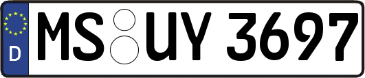 MS-UY3697
