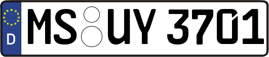 MS-UY3701