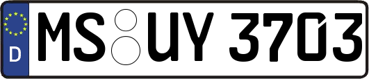 MS-UY3703