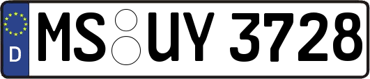 MS-UY3728