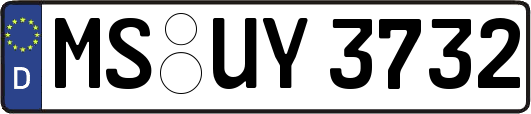 MS-UY3732