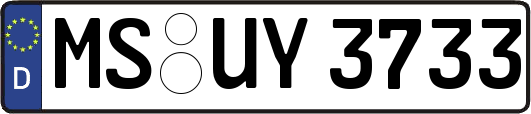 MS-UY3733