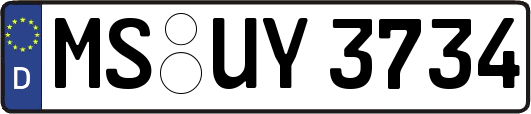 MS-UY3734