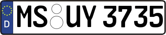 MS-UY3735