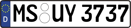 MS-UY3737