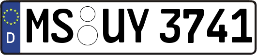 MS-UY3741