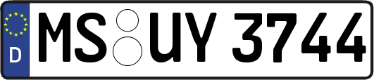 MS-UY3744