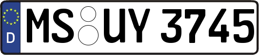 MS-UY3745