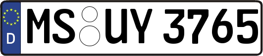 MS-UY3765