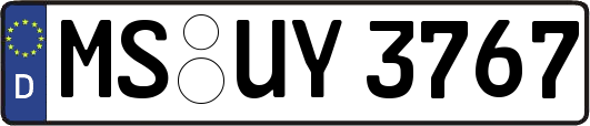 MS-UY3767