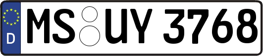 MS-UY3768