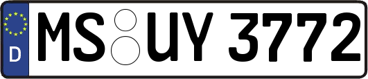 MS-UY3772