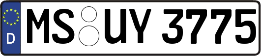 MS-UY3775