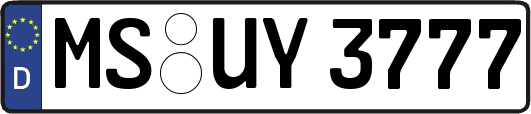 MS-UY3777