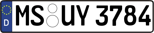 MS-UY3784