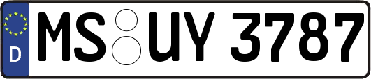 MS-UY3787
