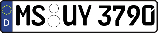 MS-UY3790