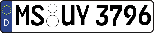 MS-UY3796