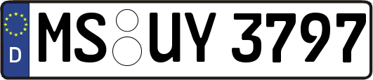MS-UY3797