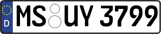 MS-UY3799