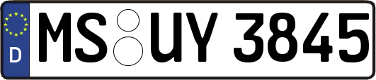 MS-UY3845