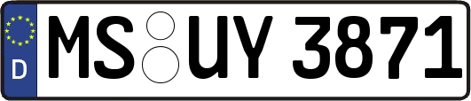 MS-UY3871