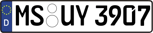 MS-UY3907
