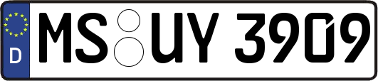 MS-UY3909