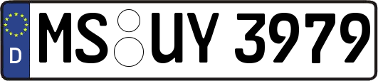 MS-UY3979