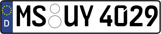 MS-UY4029